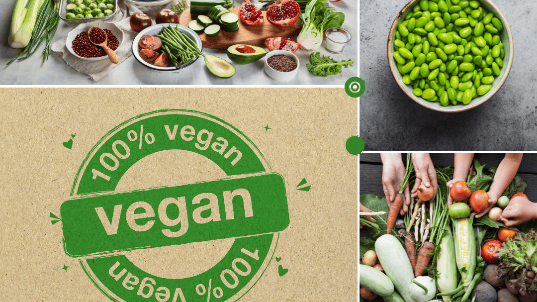 ヴィーガンにも対応 | 冷凍パン生地のtonton